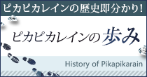 ピカピカレインの歩み