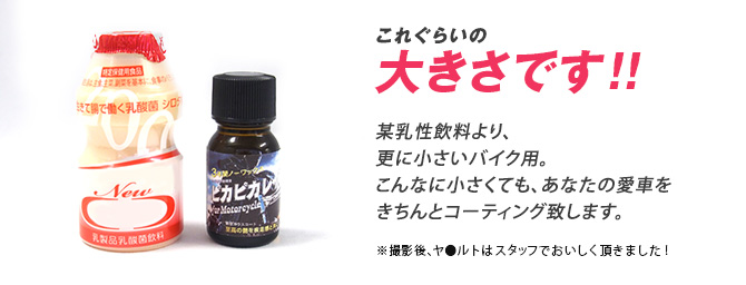 これくらいの大きさです!!