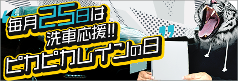 毎月25日はピカピカレインの日