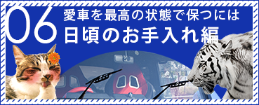 06 日頃のお手入れ編