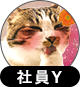 社員Y